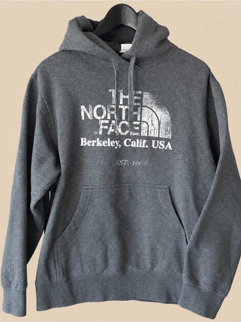 GORPCORE The North Face Berkeley Calif Heather Grey Distressed Hoodie m